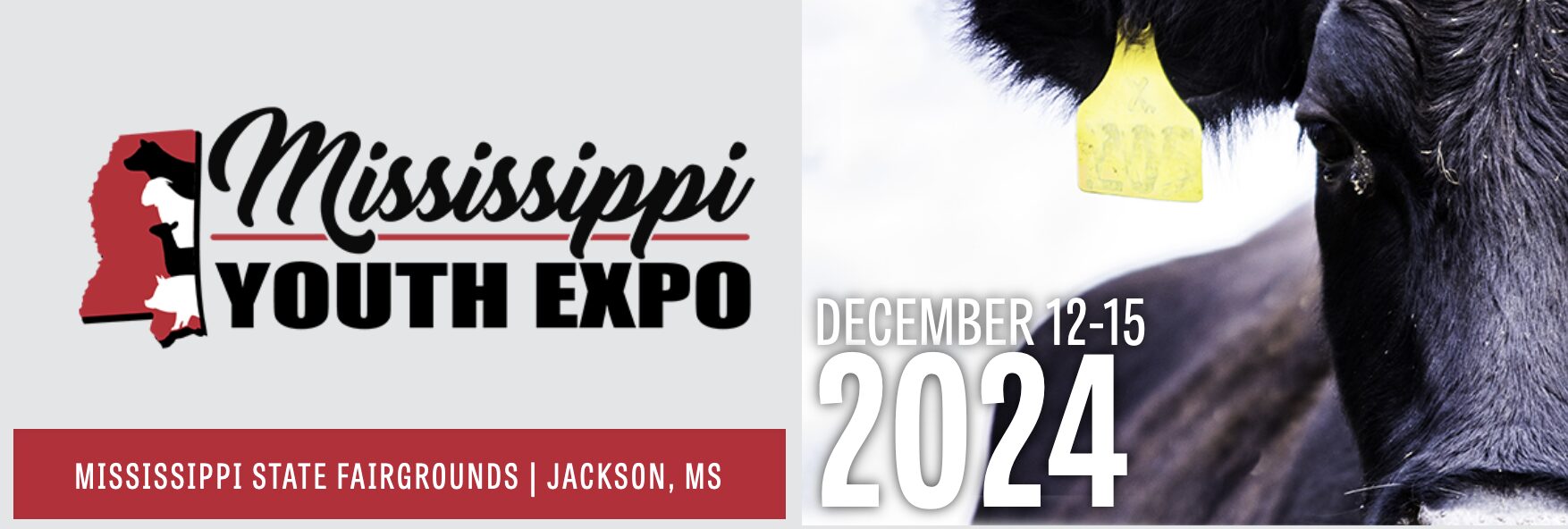 Mississippi Youth Expo